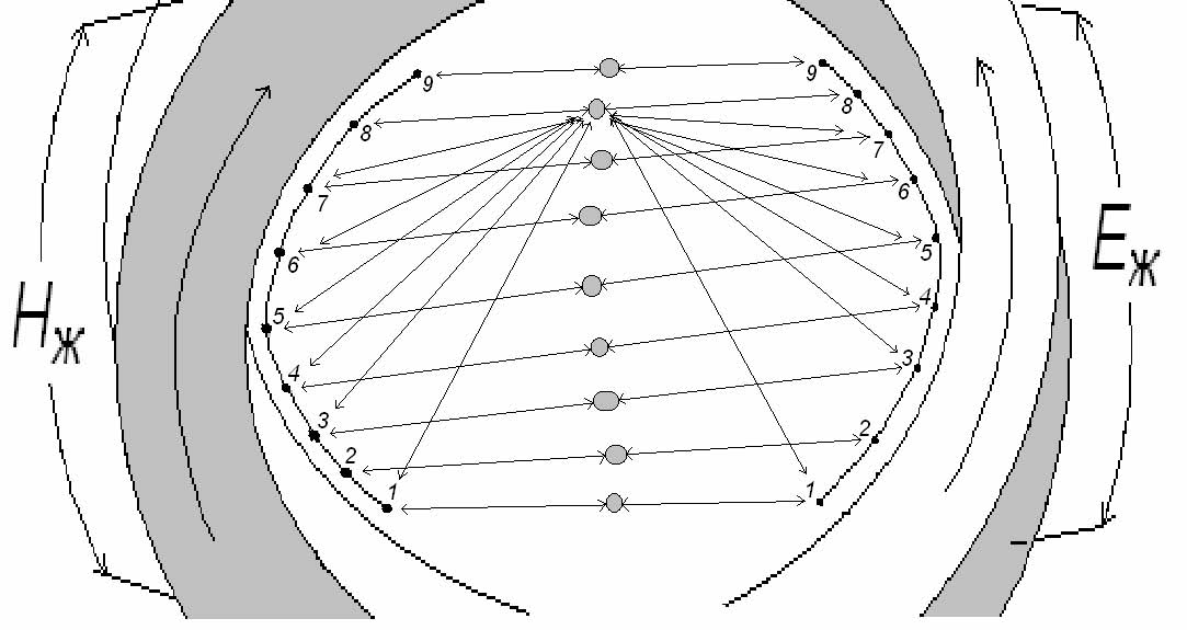 0x08 graphic