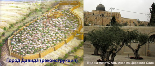 City of David [R.Kulessky]