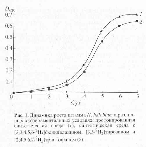     H.halobium [..]