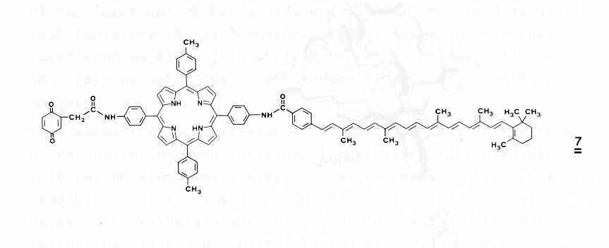 Chlorophyll dimer 7 [O.V.Mosin]