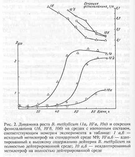    B.methylicum       [..]