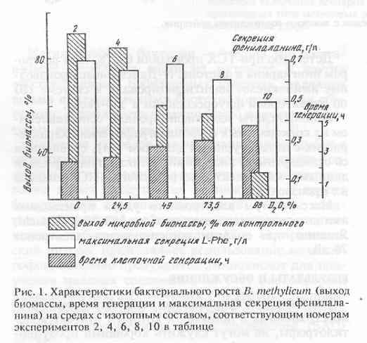    B.methylicum [..]