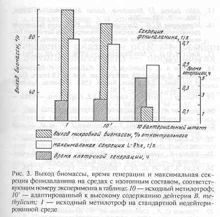  ,      B. methylicum        [..]