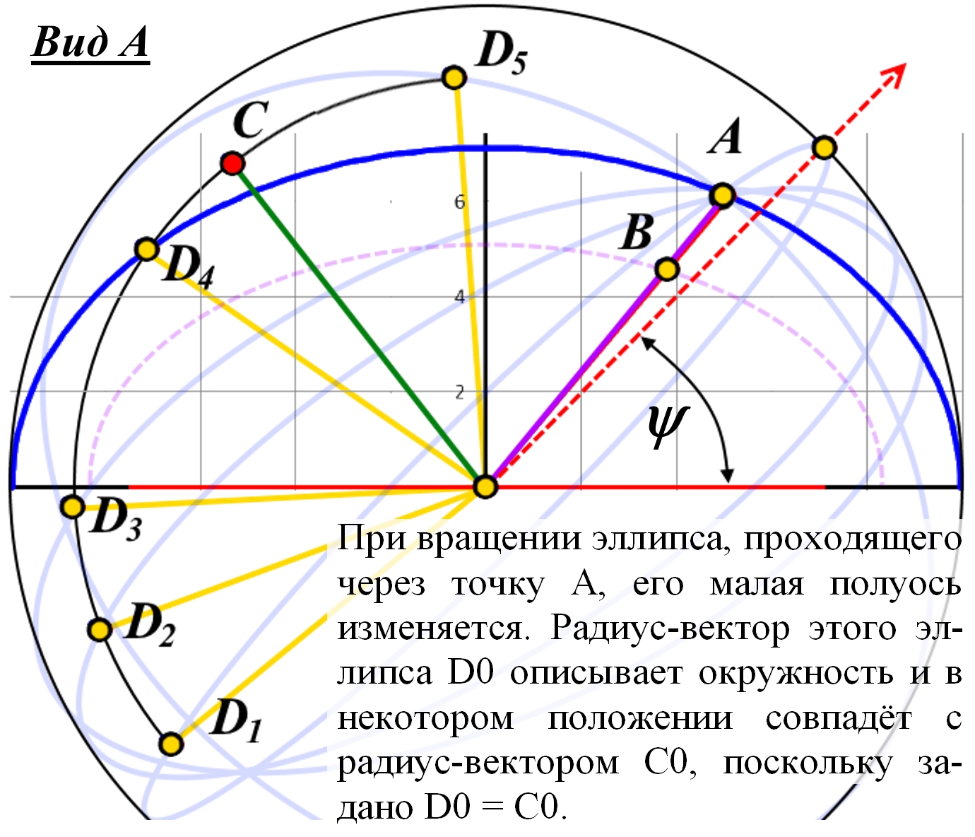 ellipse