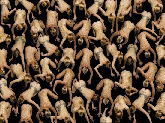  [  (Claudia Rogge)]