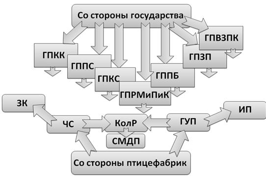 . 1.1      [  (Alexander A. Shemetev)]