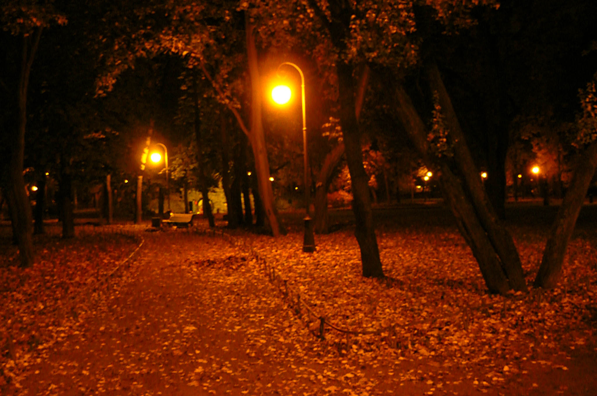 Peter the Great park (Saint-Petersburg) [Alexander Shemetev]