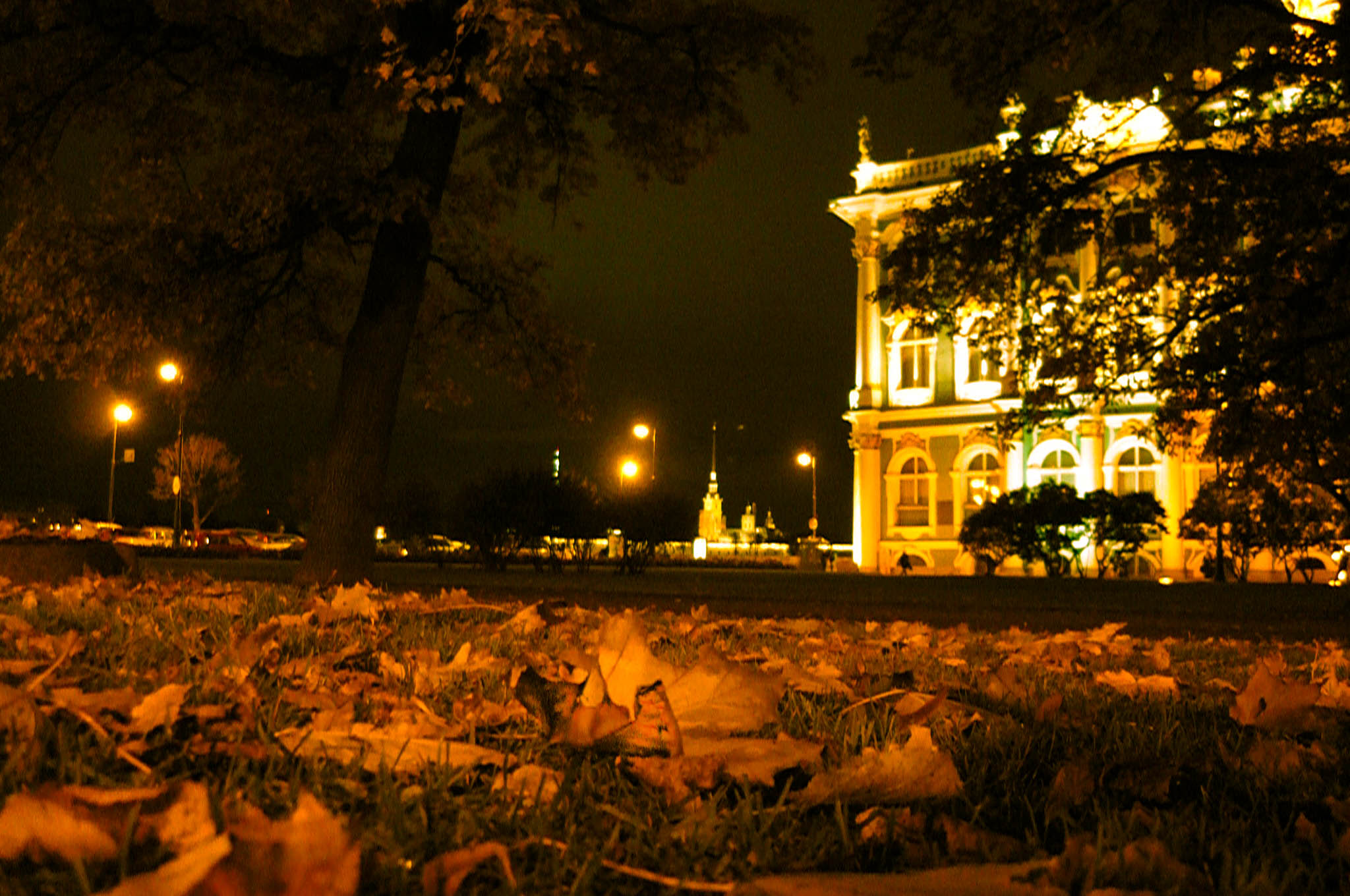 Sight to exact historical city center of Saint-Petersburg [Alexander Shemetev]